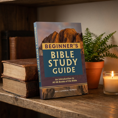 Beginner's Bible Study Guide standing on a wooden shelf beside leather books